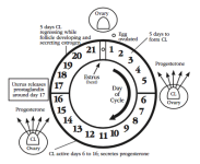 image-16.png image-16.png