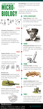 history of microbiology.png