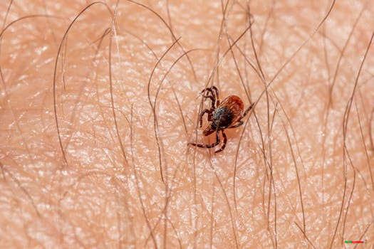Macro shot of a tick on human skin, highlighting texture and detail.