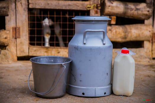 Metal milk churn and bucket in a rustic farm setting, showcasing traditional dairy operations.