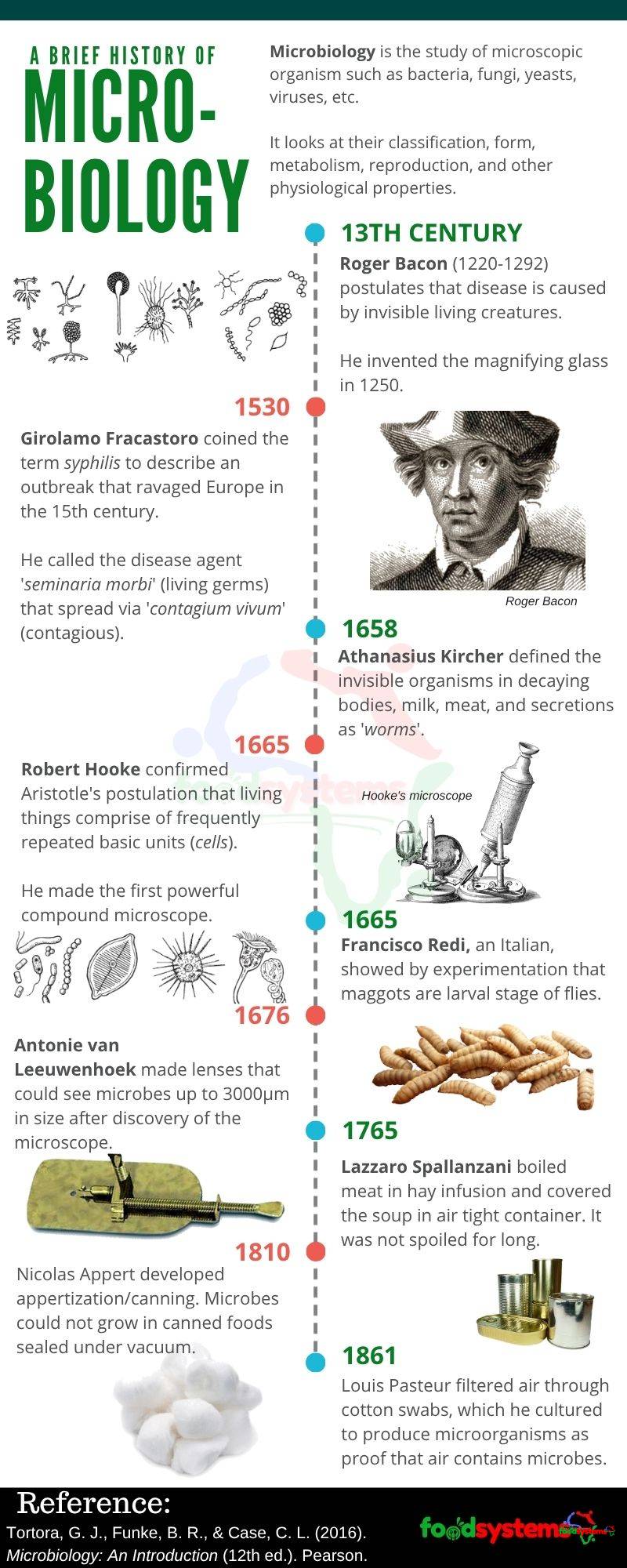 history of microbiology.png