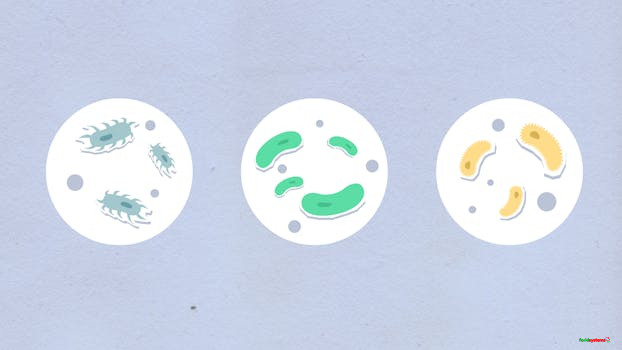 Creative illustration of microorganisms with colorful designs against a gray background.
